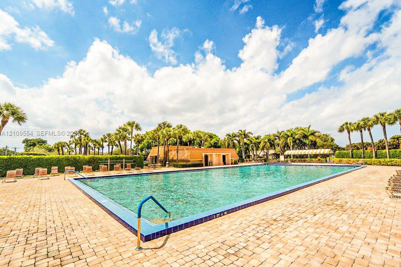 Rectangular swimming pool with tiled coping, surrounding paver decking, and manicured perimeter hedging