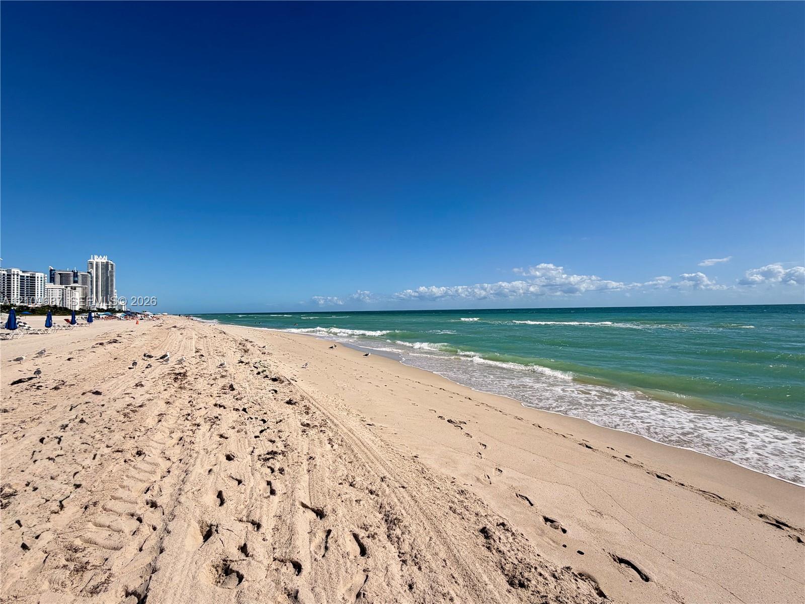Sandy shoreline featuring direct ocean access