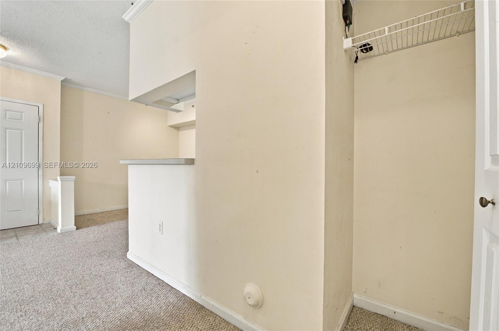 Interior space featuring a pass-through opening, a neutral-toned partition wall, carpeting, and a built-in closet with wire shelving