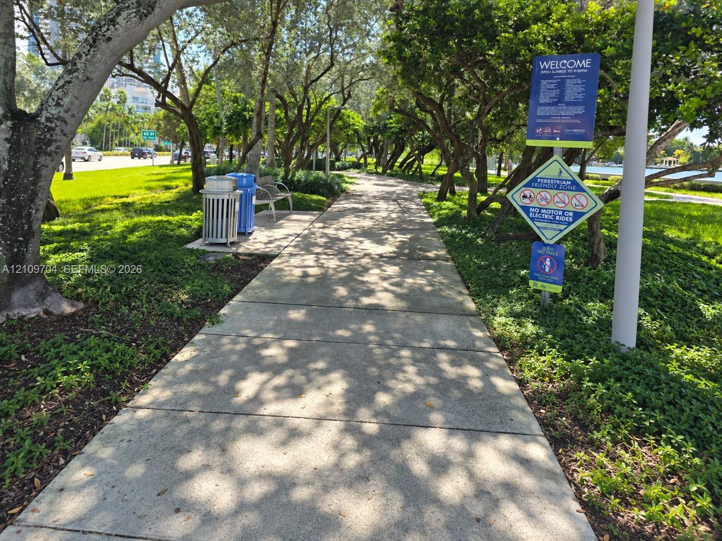 Paved concrete pedestrian pathway lined with mature canopy trees and manicured ground cover