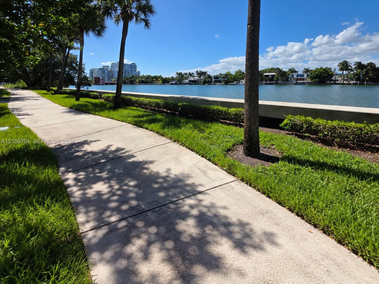 Concrete walking path bordered by manicured lawn, mature palm trees, and a concrete seawall overlooking the waterfront