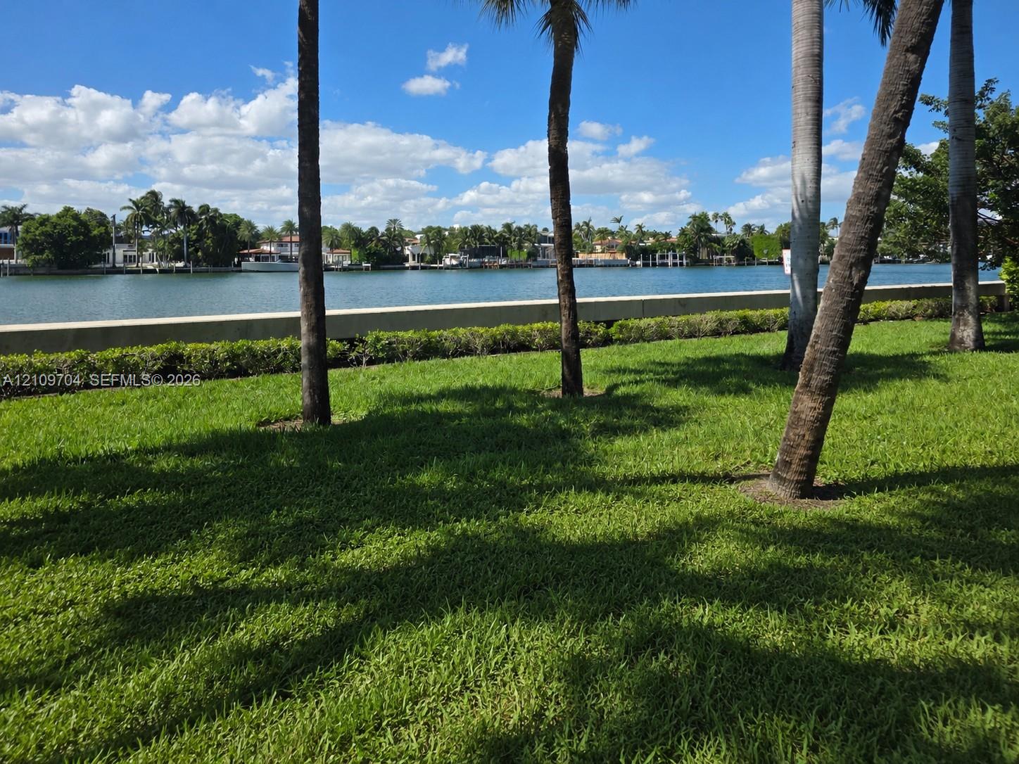 Waterfront property featuring a concrete seawall, expansive lawn, and mature palm trees