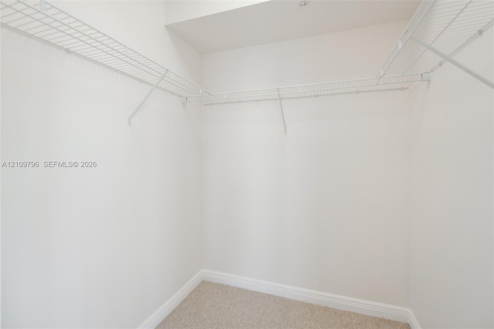 Walk-in closet featuring neutral carpeting and white, multi-level wire shelving