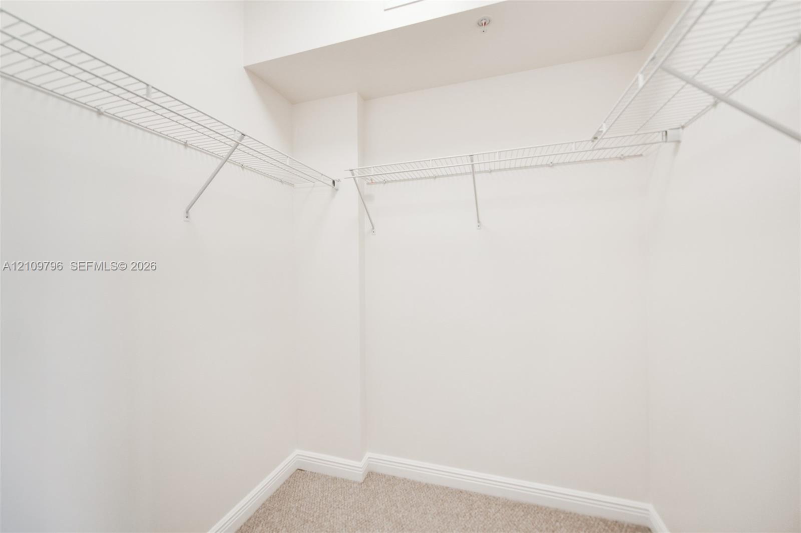 Walk-in closet featuring white wire shelving and neutral wall-to-wall carpeting