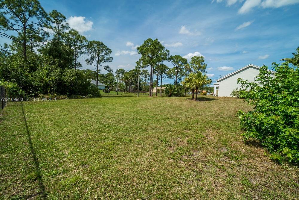 Expansive rear grounds featuring manicured grass, mature perimeter pine trees, native shrubbery, and chain-link fencing