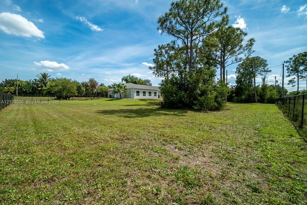 Expansive backyard featuring a large grass lawn, mature pine trees, perimeter fencing, and exterior landscape foliage