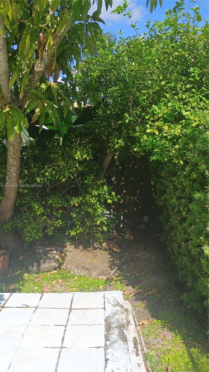 Tiled patio area bordered by established mature trees and vegetation