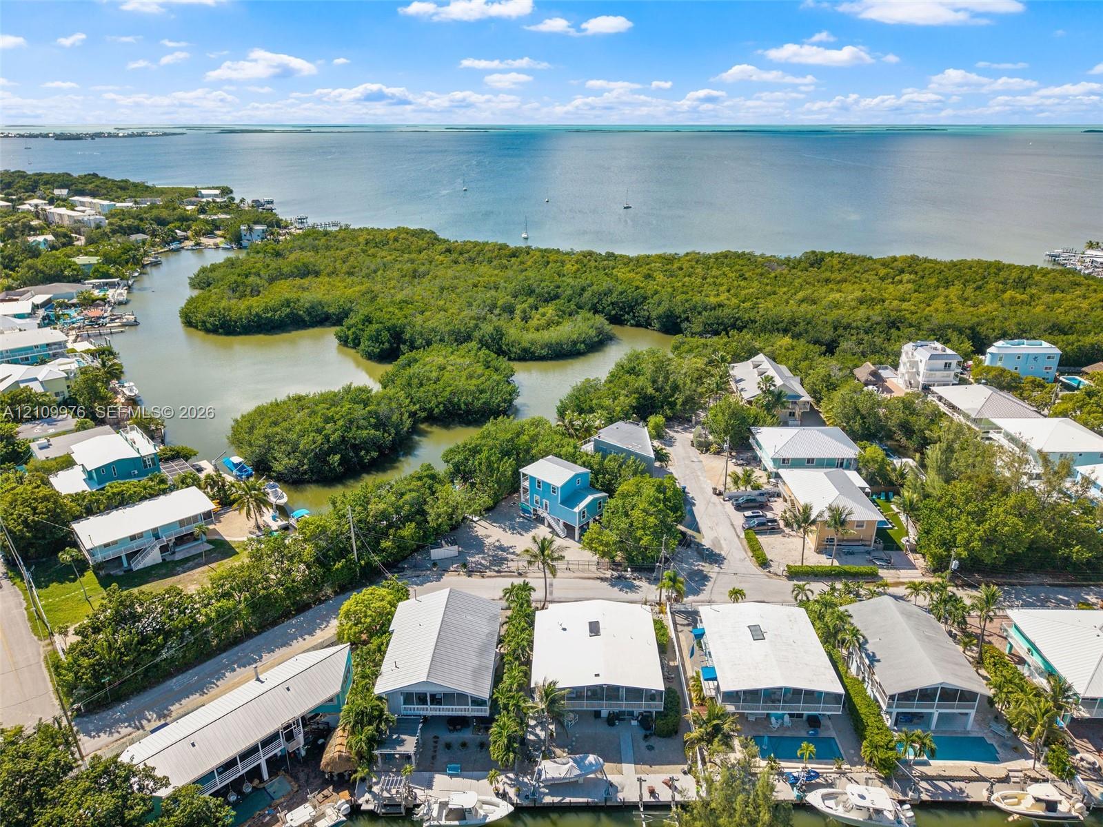 Aerial perspective of a coastal residential property featuring direct water frontage, private boat docking, and a natural mangrove shoreline