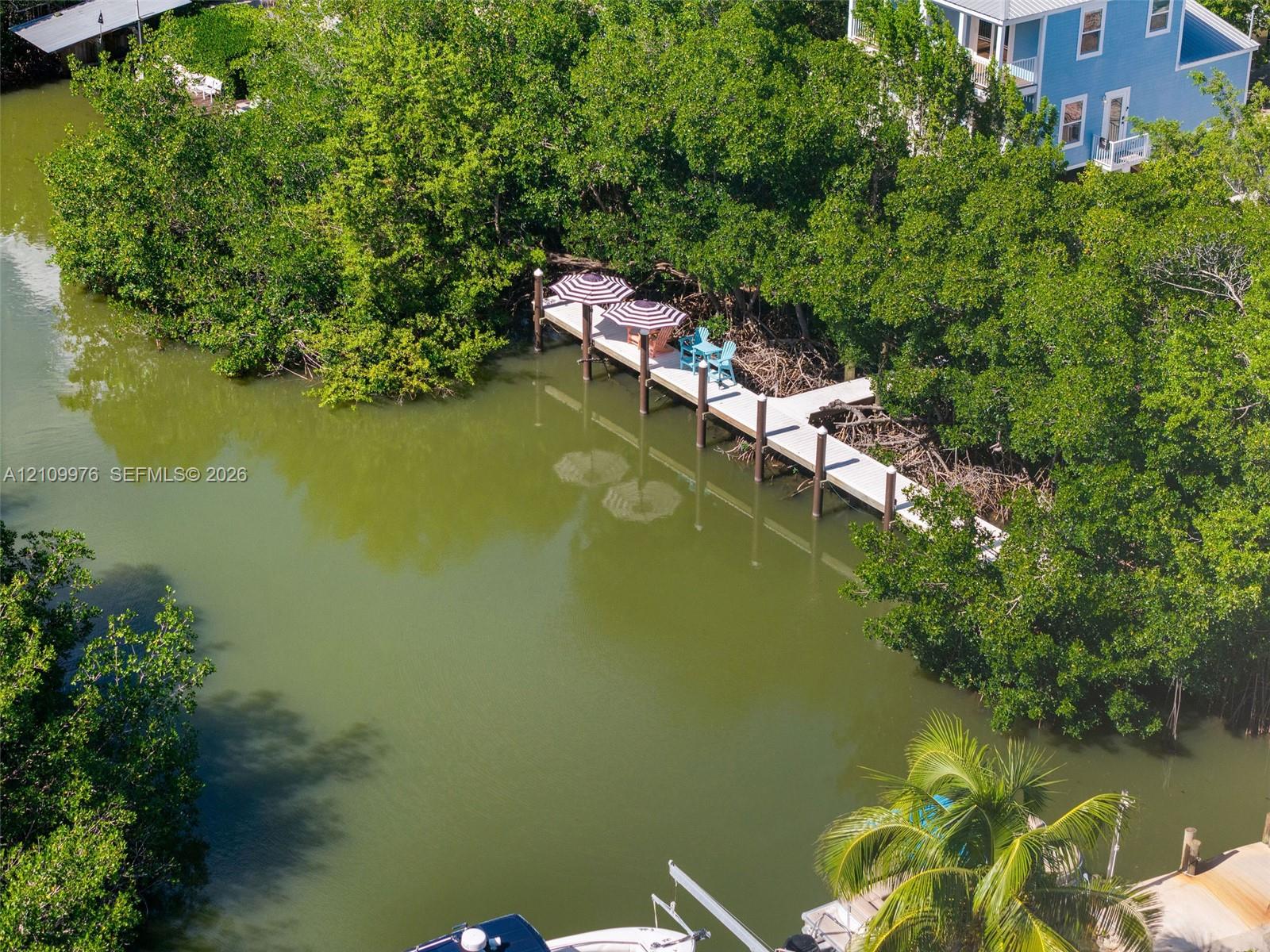 Private dock featuring a concrete platform, anchored pilings, and dense surrounding foliage