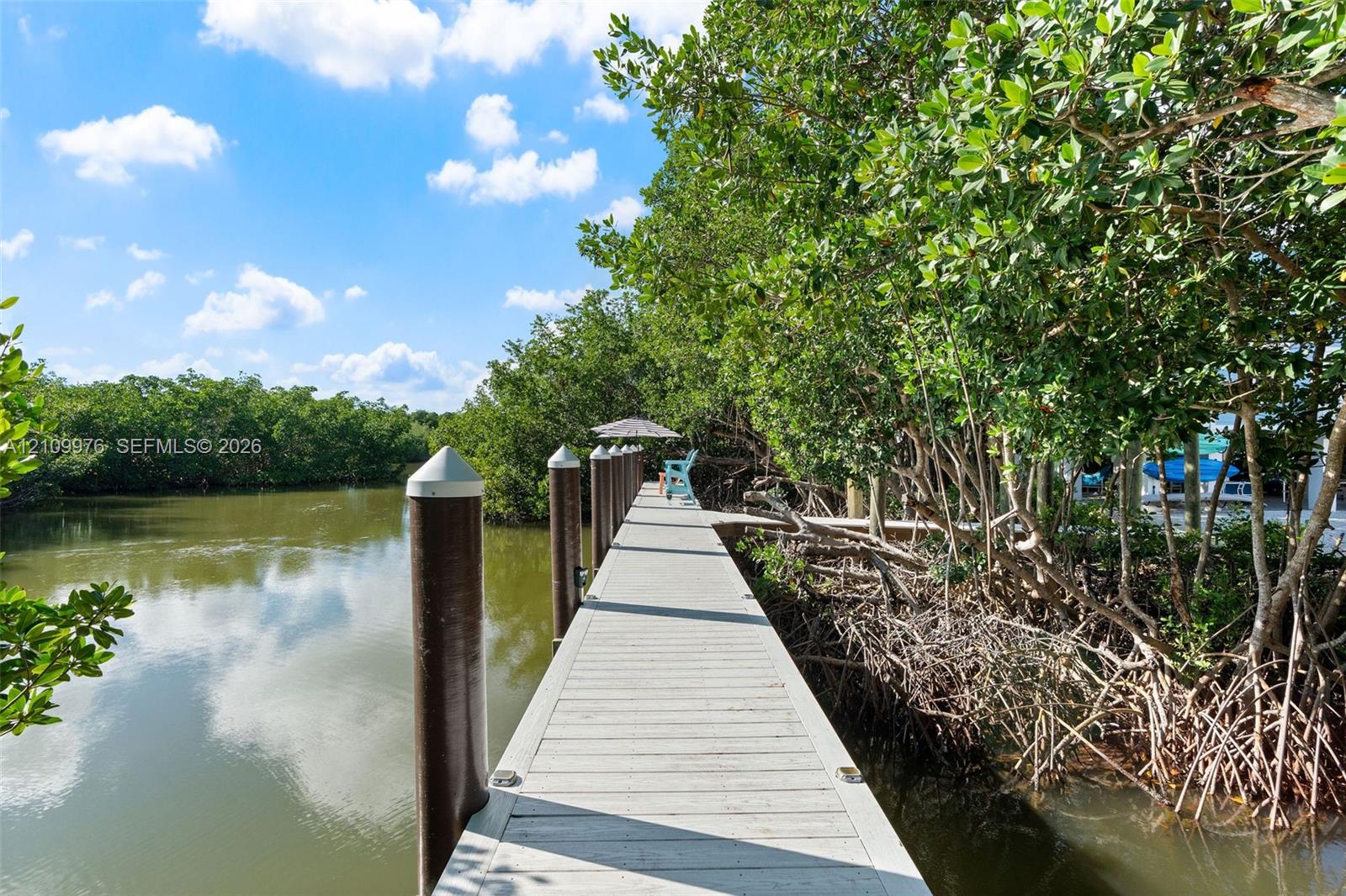 Private dock with composite decking, capped mooring pilings, and dense mangrove canopy