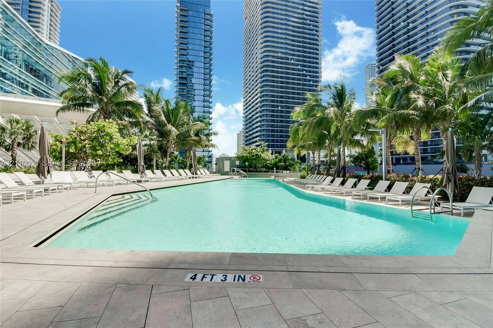 Outdoor swimming pool featuring a concrete deck, metal pool ladders, and surrounding palm trees