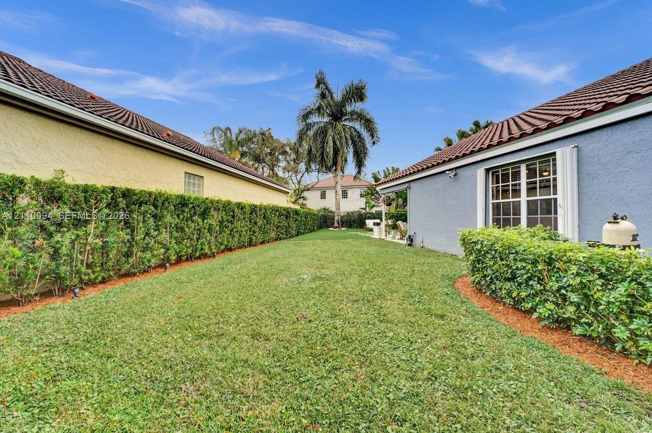 Private outdoor space featuring manicured lawn, established perimeter hedges, and a mature palm tree
