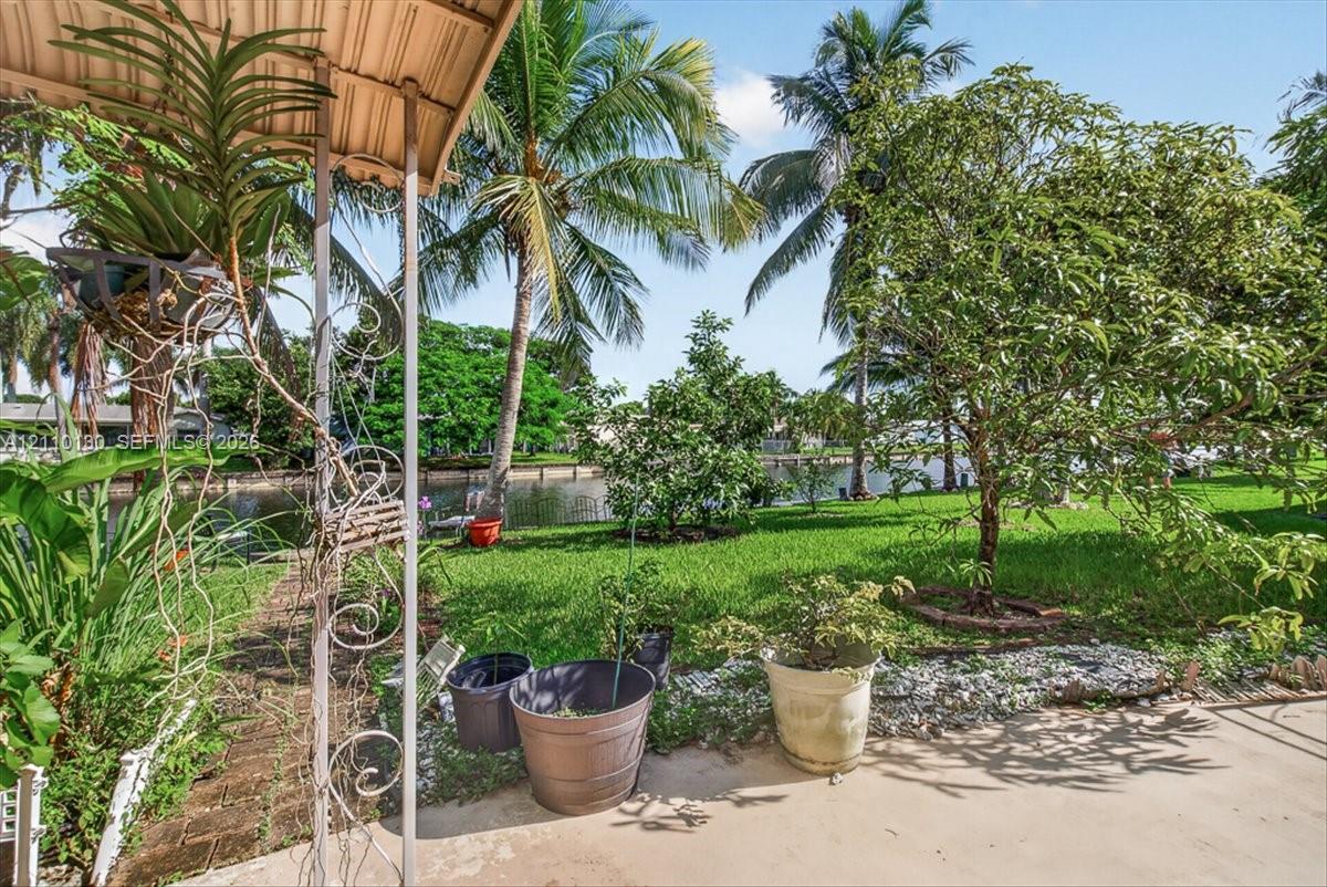 Rear lawn featuring mature palm and fruit trees, brick walkway, and water frontage with a bulkhead