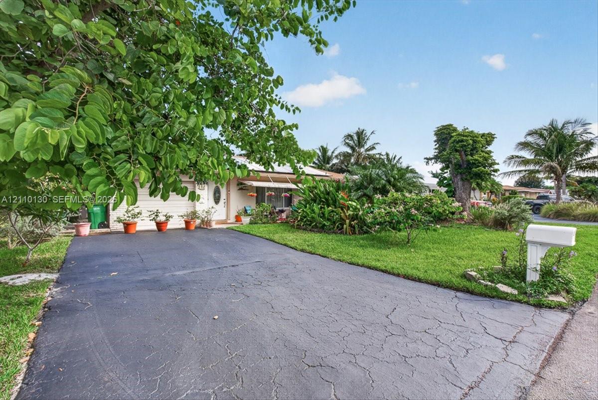 Asphalt driveway leading to a multi-car garage, complemented by established landscaping and mature trees