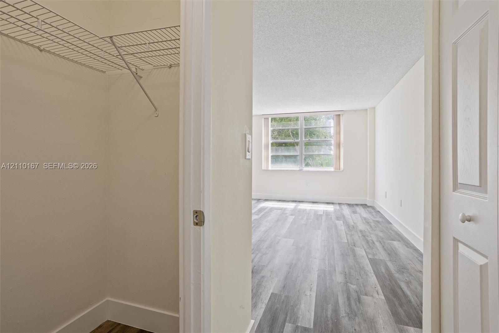 Walk-in closet featuring wire shelving, wood-finish flooring, and multi-pane window