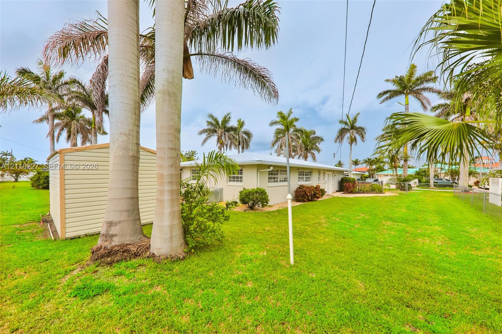Expansive grass lawn featuring mature palm trees and a detached metal storage structure
