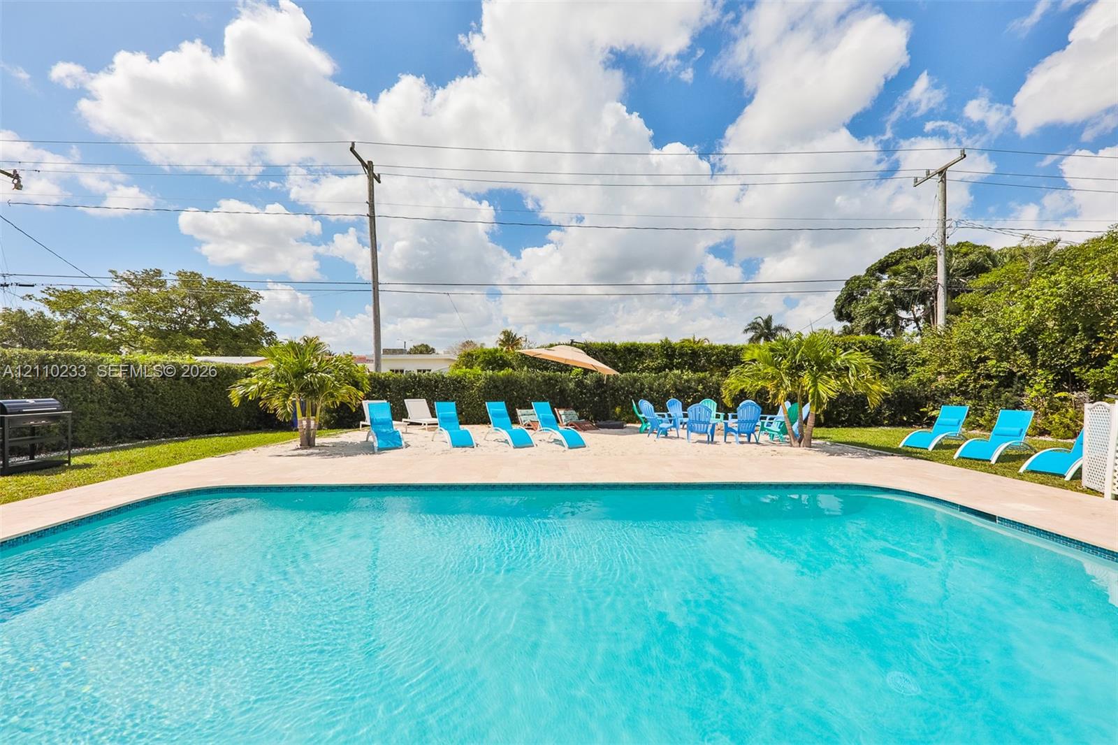 In-ground swimming pool with light-colored coping, concrete patio, and dense perimeter hedge landscaping