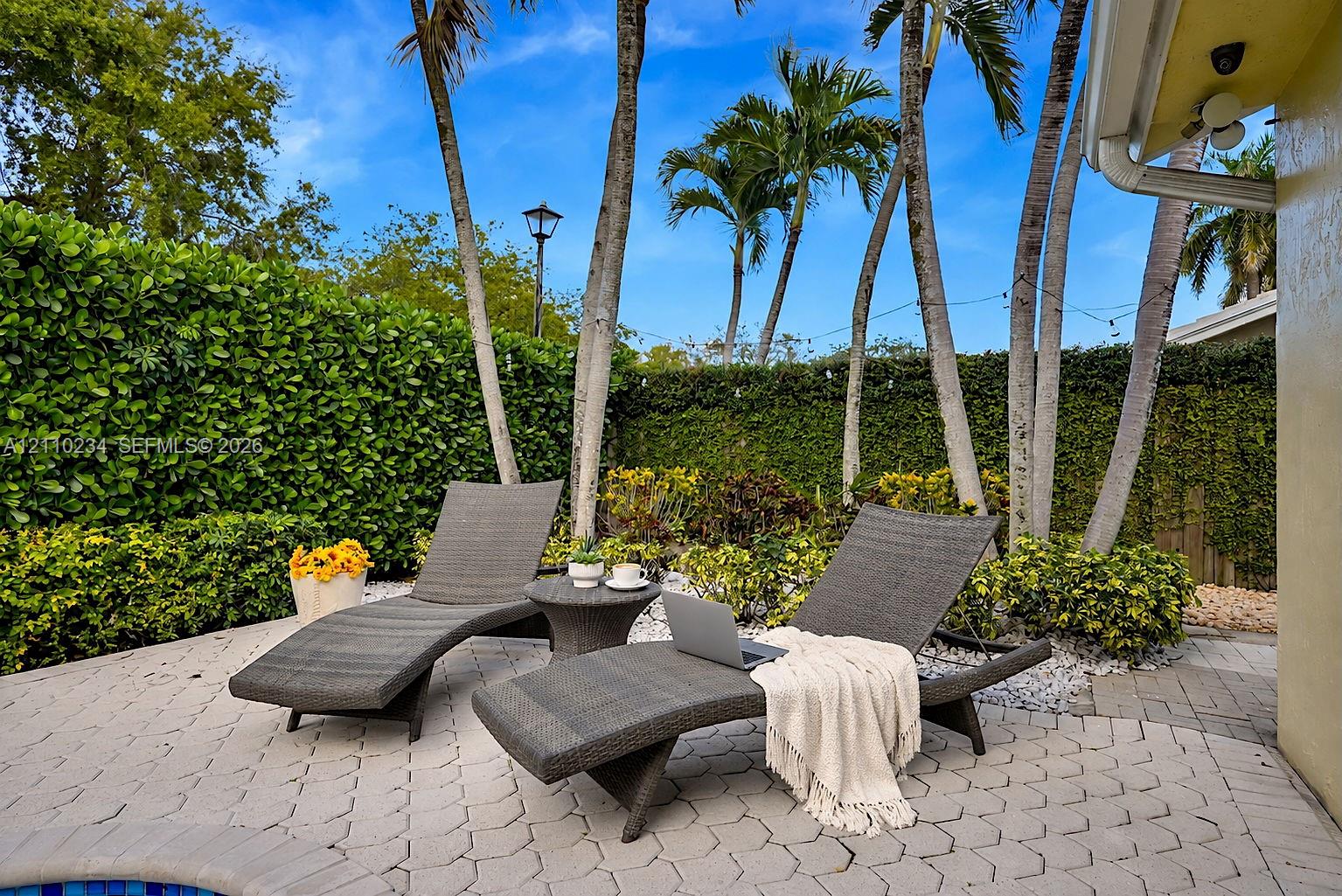 Paver patio featuring integrated pool edge, perimeter privacy hedges, and mature palm trees