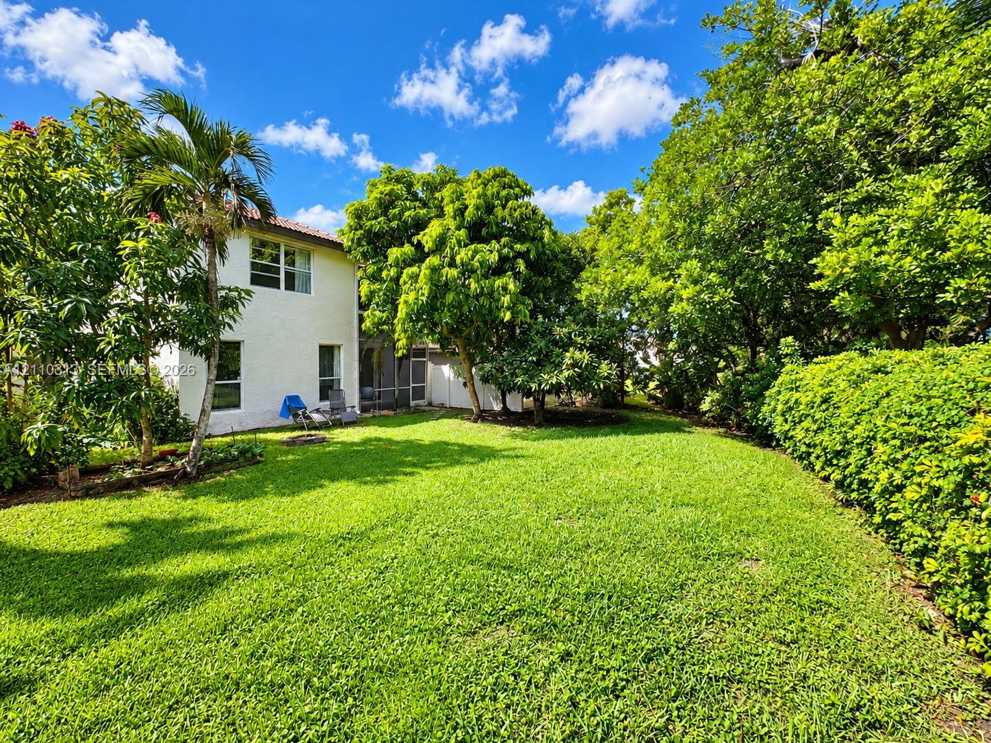 Expansive backyard featuring a sprawling lawn, mature trees, dense privacy hedging, and a stucco exterior finish