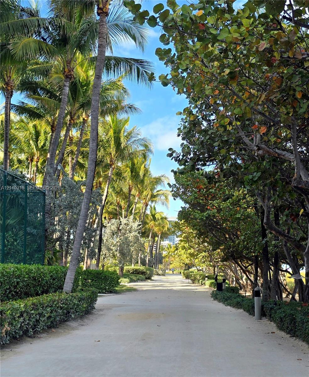 Bike, Walk, Jog Path