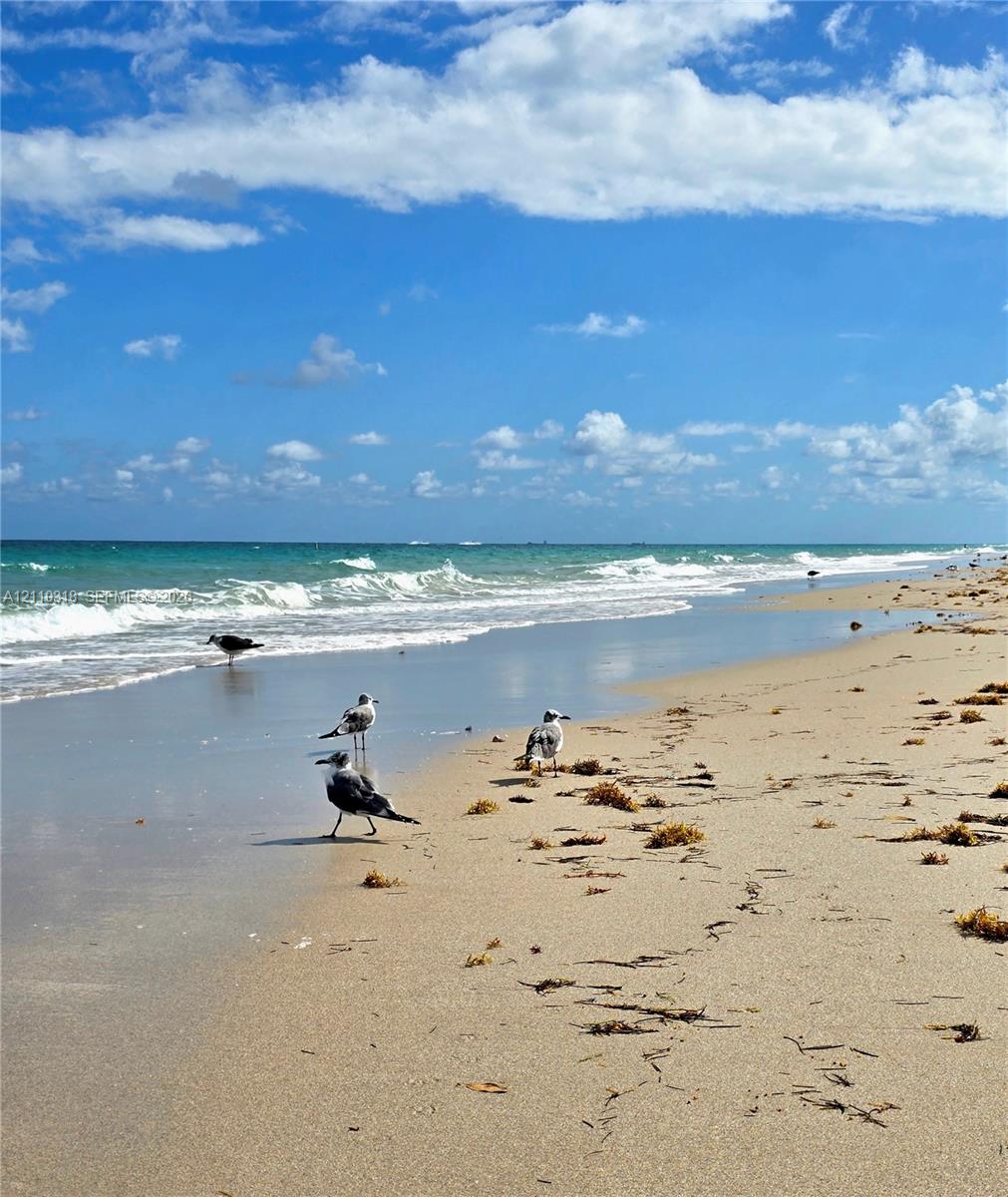 Beach