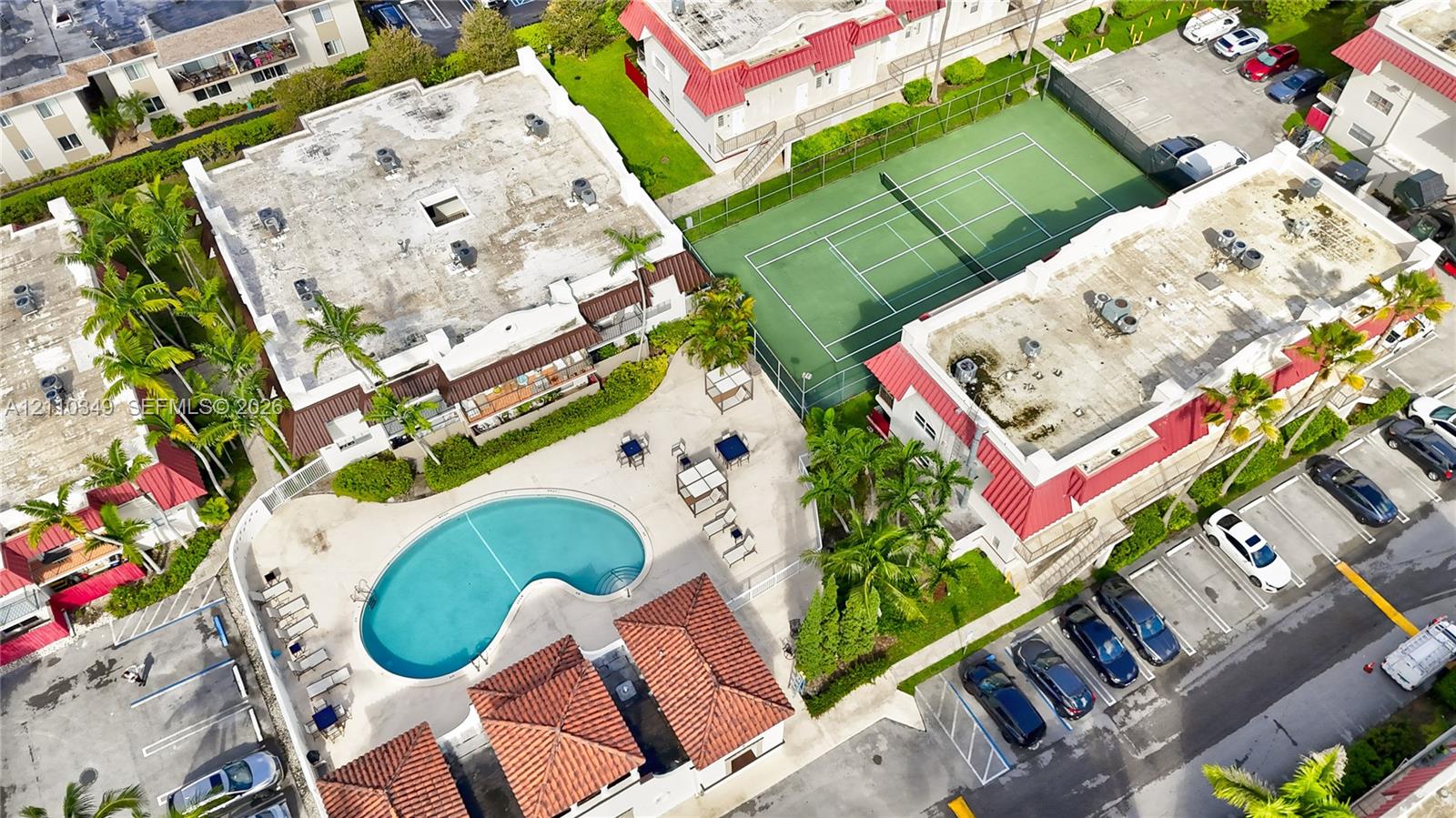 swimming pool, tennis court, and mature palm trees