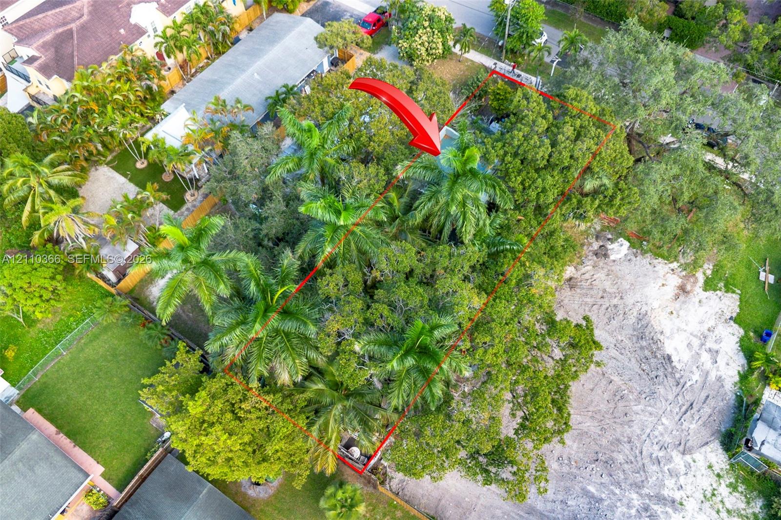 Aerial perspective of a residential lot featuring dense mature canopy, multiple established palm trees, and cleared terrain