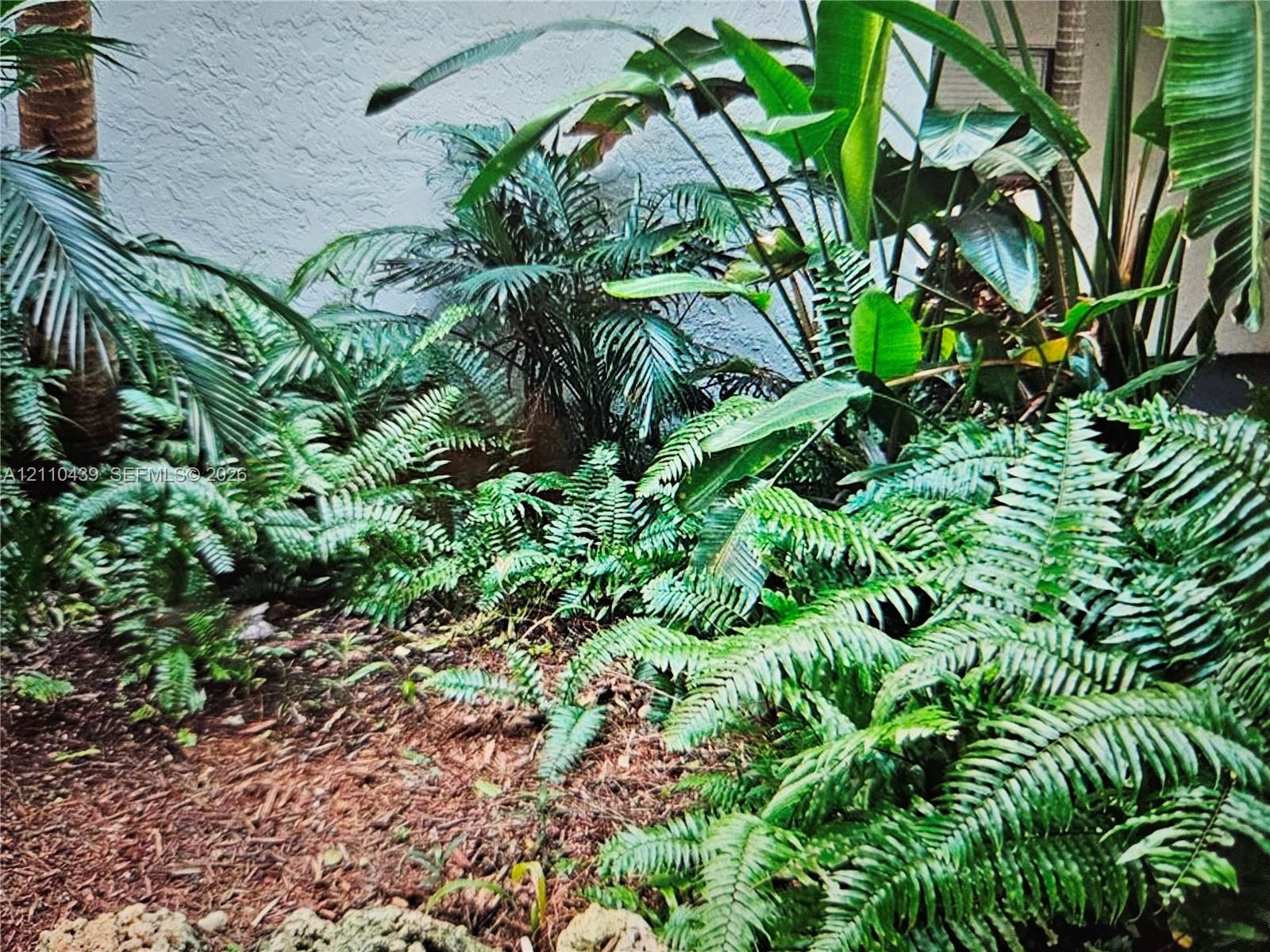 Landscaped garden bed featuring diverse tropical foliage, mature palms, ferns, and mulch ground cover