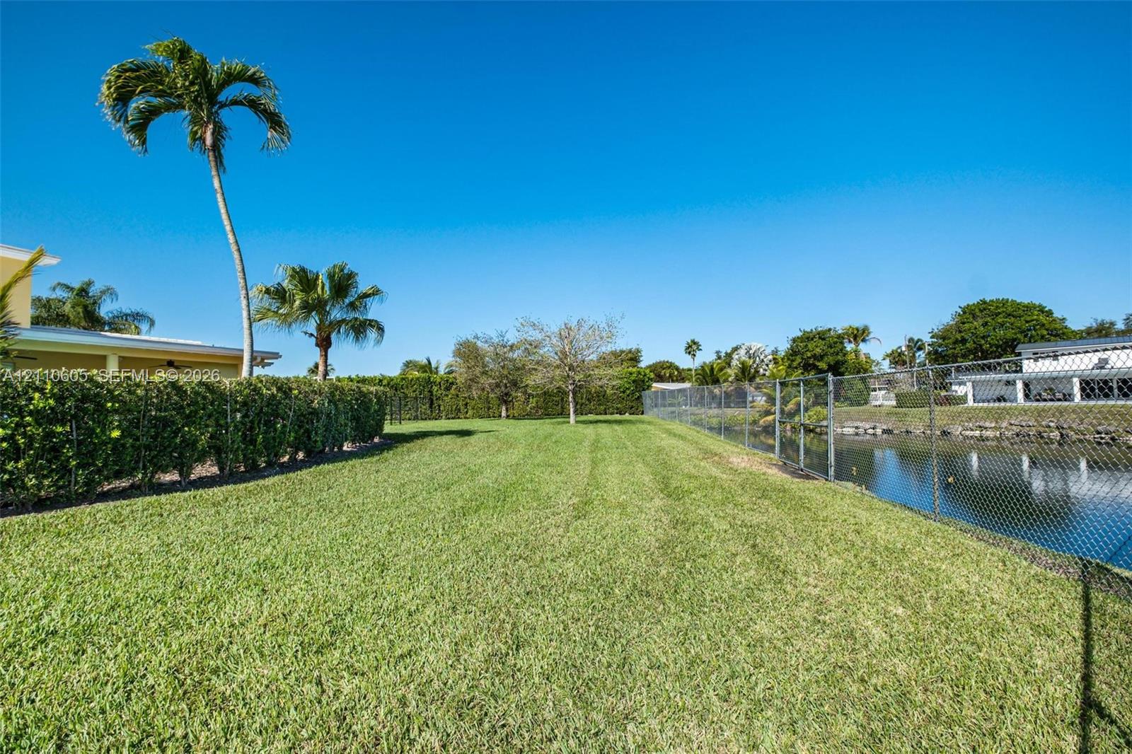 Backyard featuring a manicured lawn, perimeter hedge, chain-link fencing, palm trees, and waterfront access