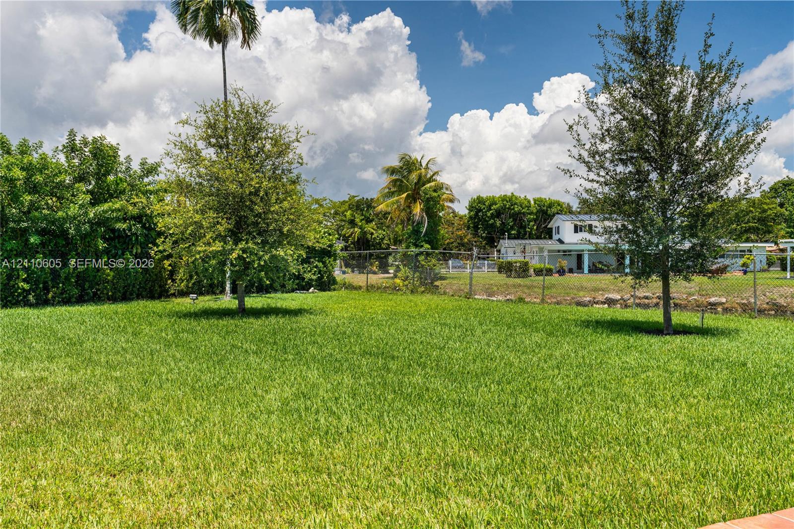 Expansive backyard featuring a manicured lawn, perimeter chain-link fencing, mature trees, and palm vegetation