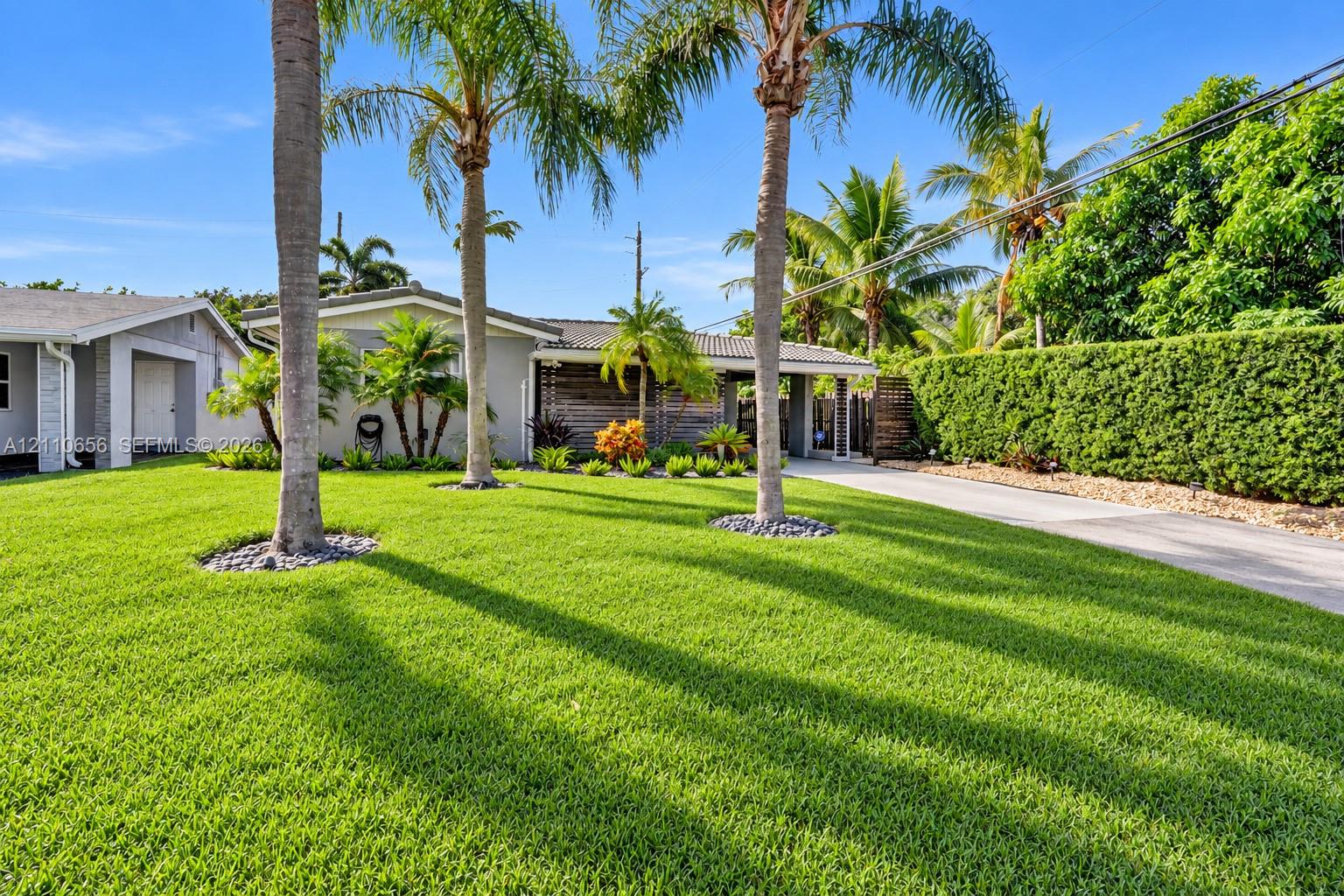 Manicured lawn with mature palm trees, concrete driveway, and established landscape hedging
