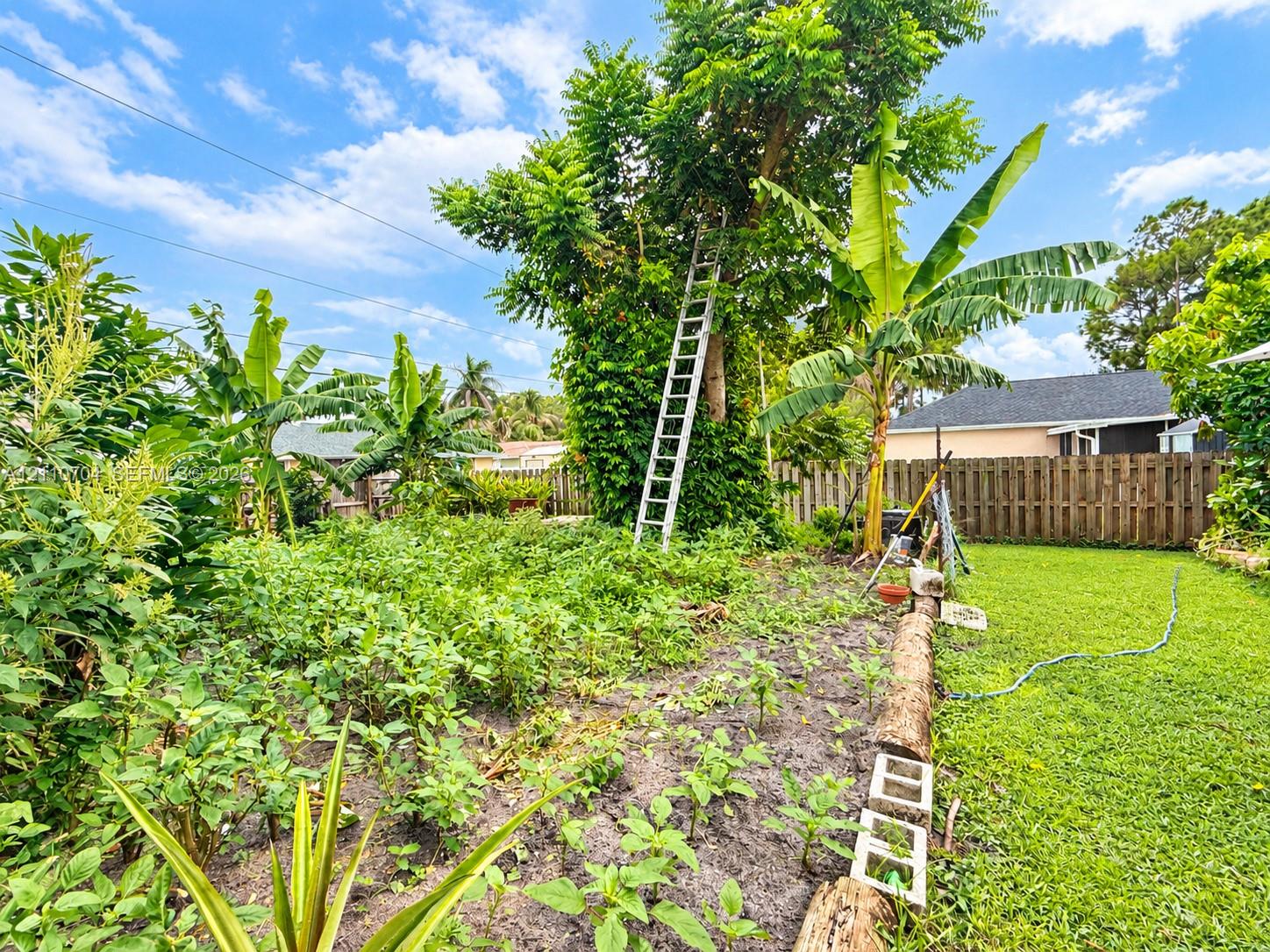 Backyard featuring a dedicated planting area, mature trees, banana plants, and a wood-slat privacy fence