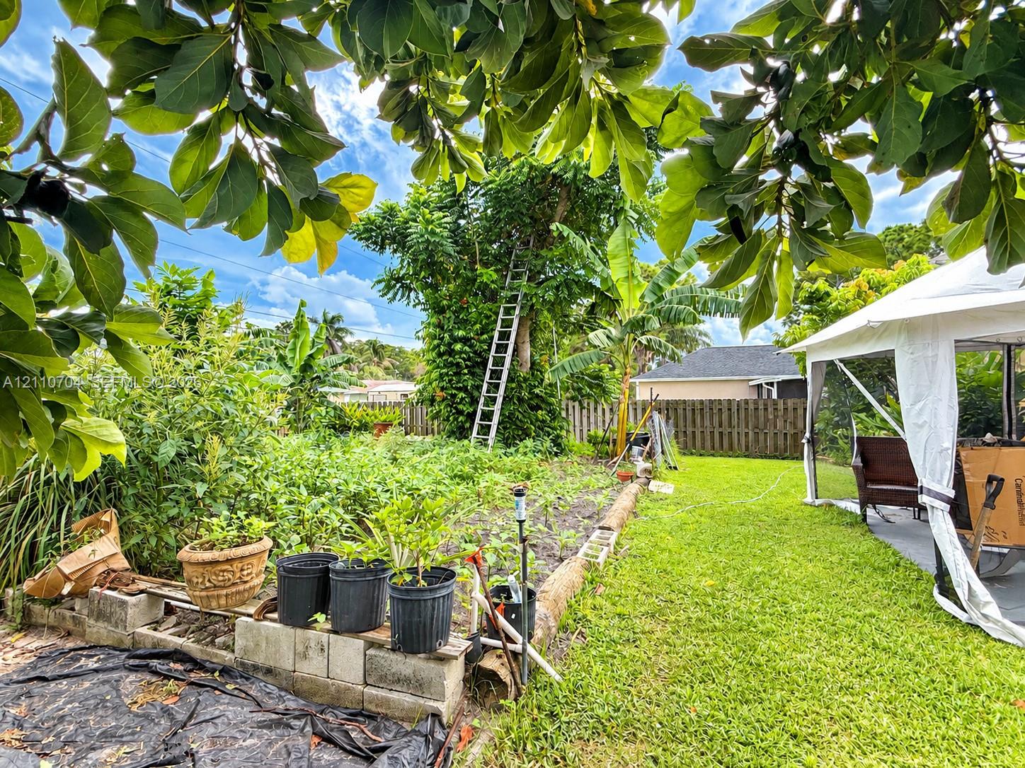 Backyard featuring a grass lawn, mature trees, and a wooden privacy fence