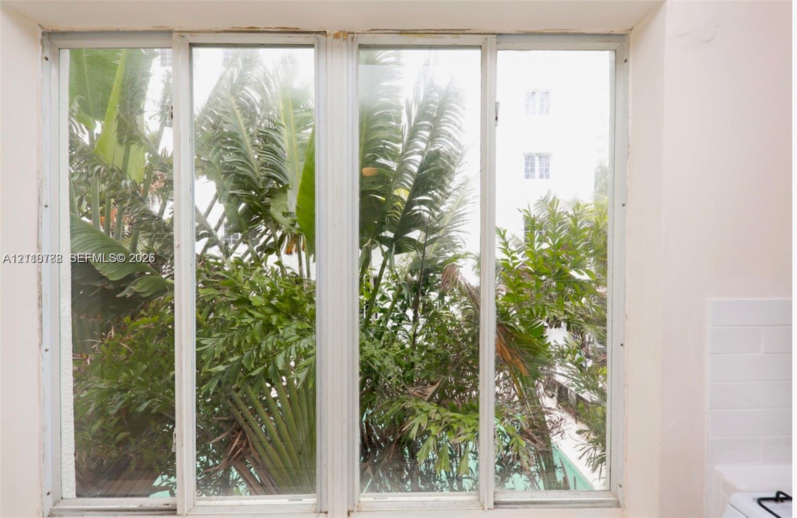 Large multi-pane window with white frames, white subway tile backsplash, and tropical foliage exterior