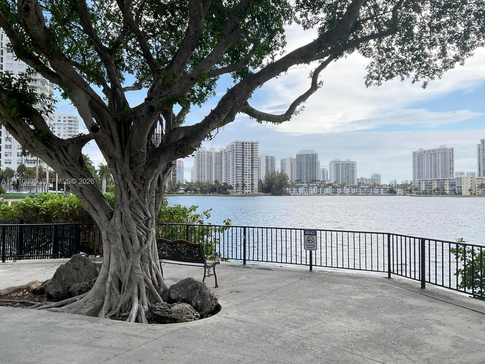 Waterfront grounds featuring a concrete terrace, mature tree with exposed root system, and metal perimeter fencing
