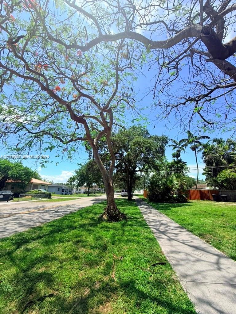 Expansive front lawn featuring mature Royal Poinciana trees, manicured turf, and a paved concrete sidewalk