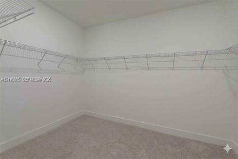 Walk-in closet featuring wall-to-wall carpeting and perimeter white wire shelving