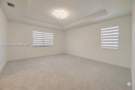 Tray ceiling featuring a contemporary flush-mount light fixture, wall-to-wall carpeting, and dual windows with layered zebra-style roller shades