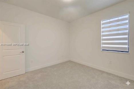 Neutral interior space featuring carpeted flooring, a paneled interior door, and a horizontal banded roller shade