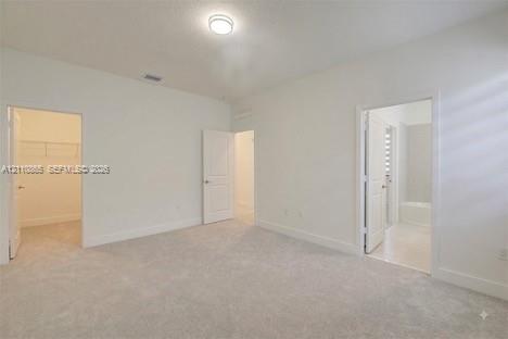 Neutral-toned carpeting, flush-mount ceiling lighting, interior panel doors, and walk-in storage space