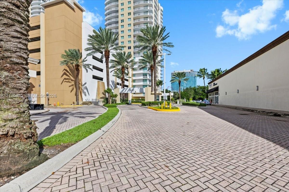 Paver driveway featuring mature palm trees and landscaped borders