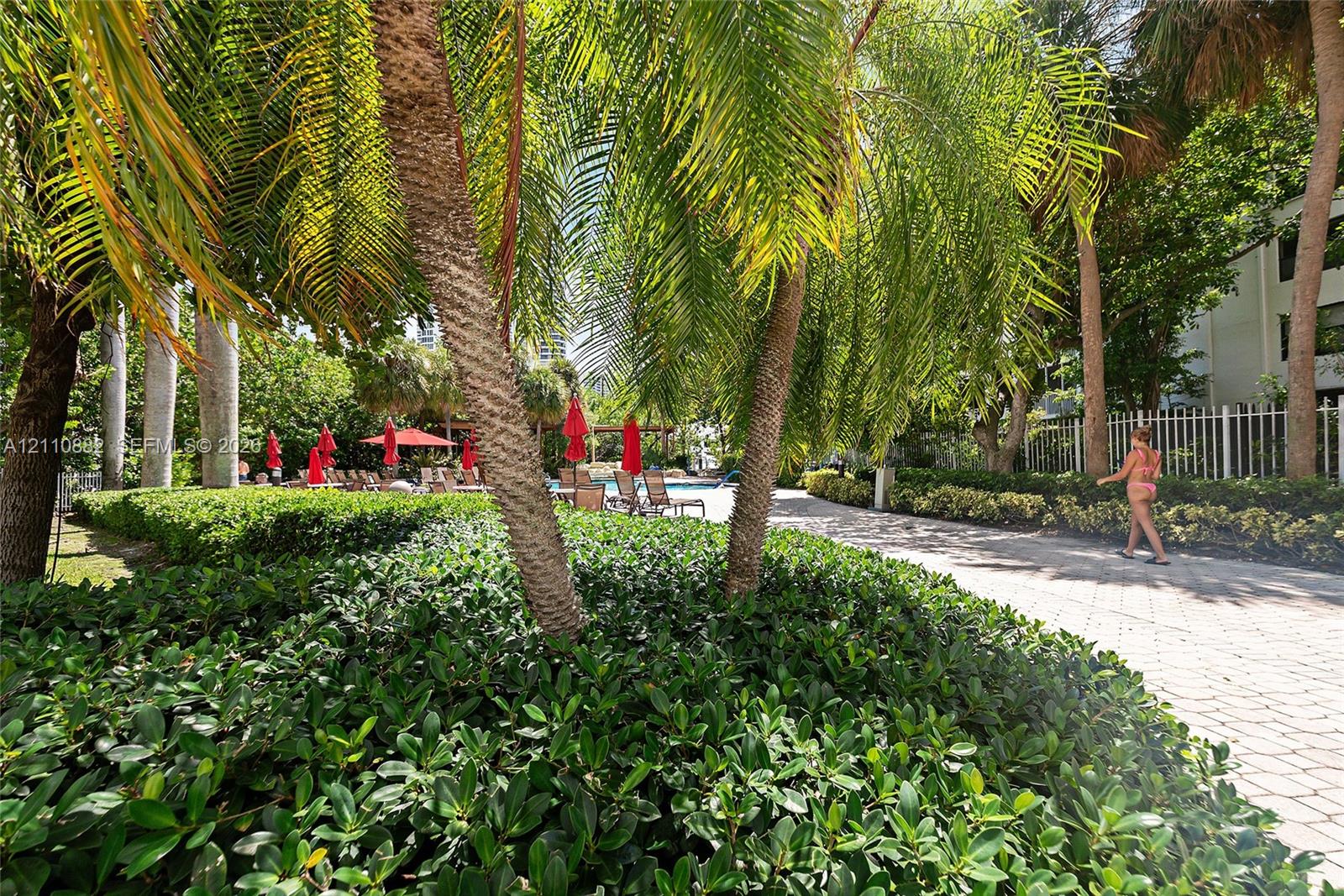 Outdoor area featuring a swimming pool, paved walkway, mature palm trees, and manicured landscaping