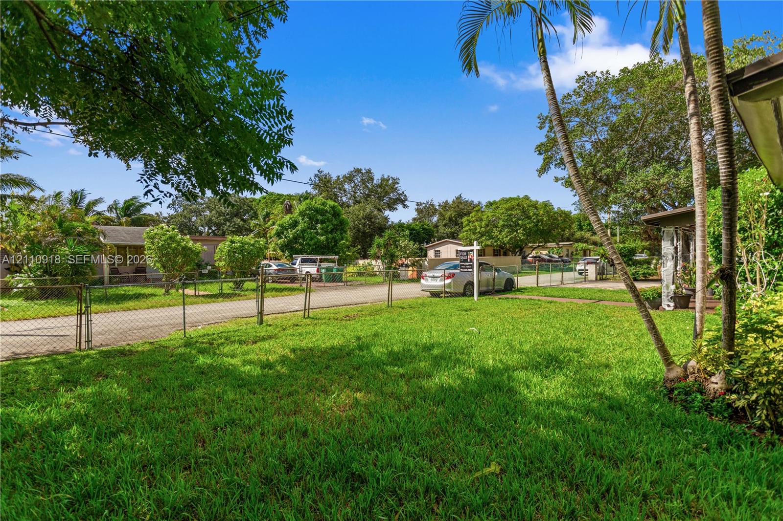 Expansive front lawn featuring mature palm trees and perimeter chain-link fencing Expansive front lawn featuring mature palm trees and perimeter chain-link fencing