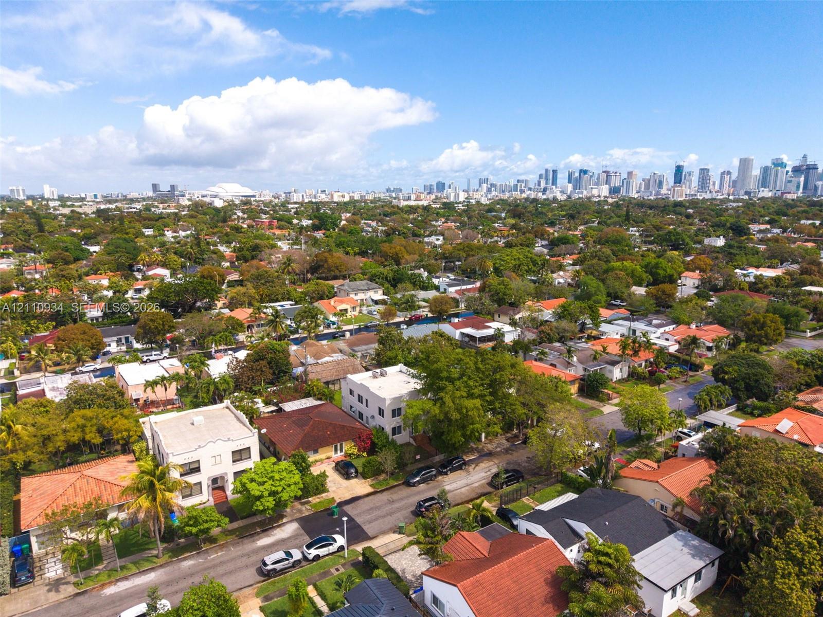 Aerial perspective featuring established tree canopy, residential street infrastructure, and prominent metropolitan skyline backdrop Aerial perspective featuring established tree canopy, residential street infrastructure, and prominent metropolitan skyline backdrop