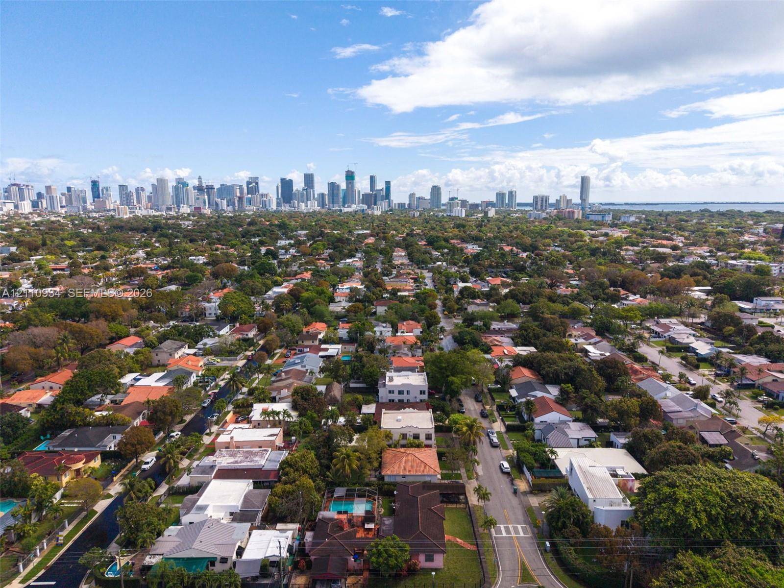 Aerial perspective showcasing a residential neighborhood with dense mature tree canopy and city skyline backdrop