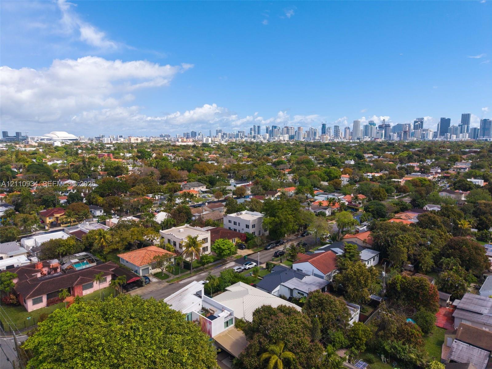 Aerial perspective featuring mature trees, residential grid, and a skyline backdrop