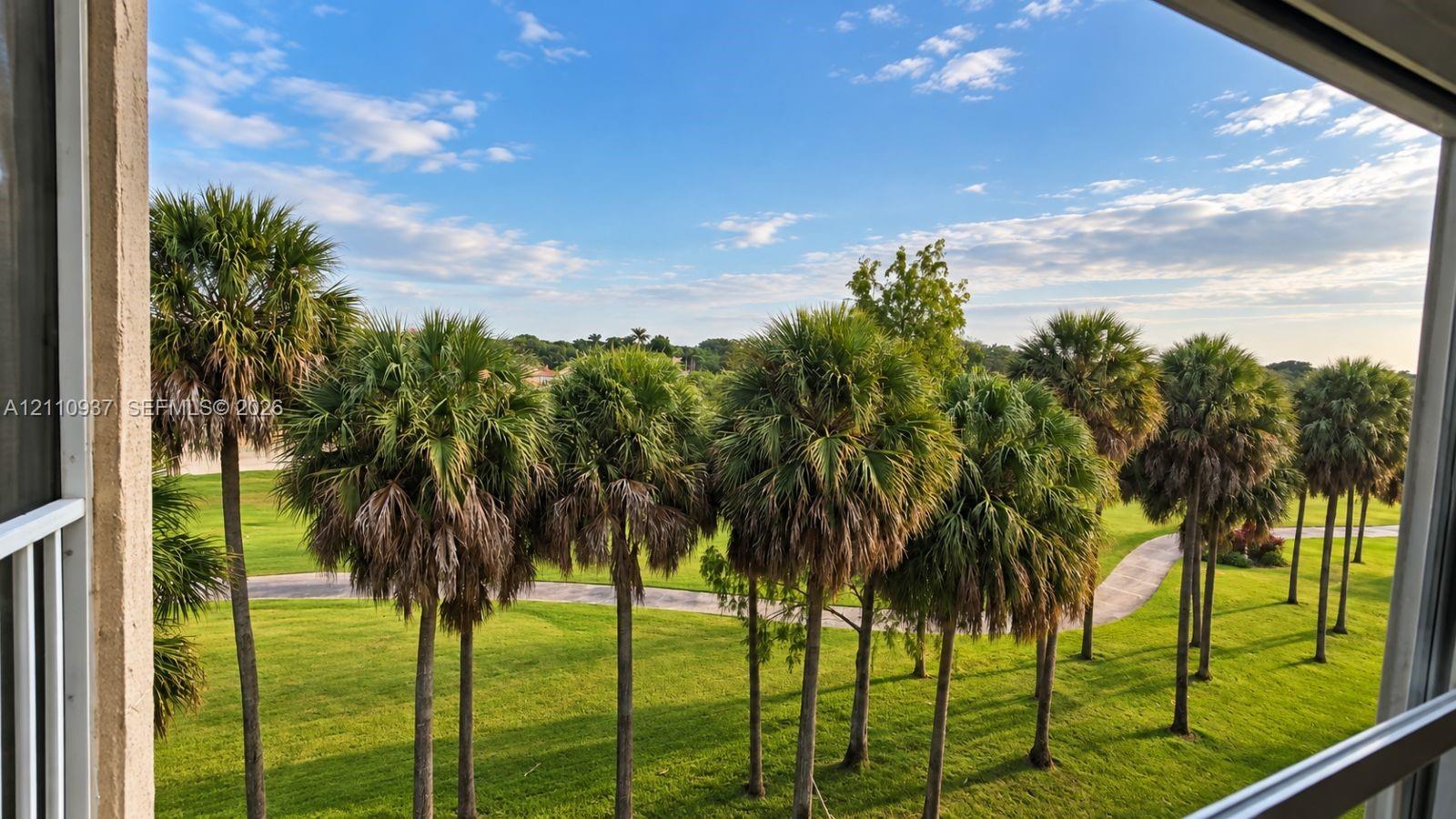 Panoramic scenery featuring mature palm trees, manicured grounds, and a paved walkway