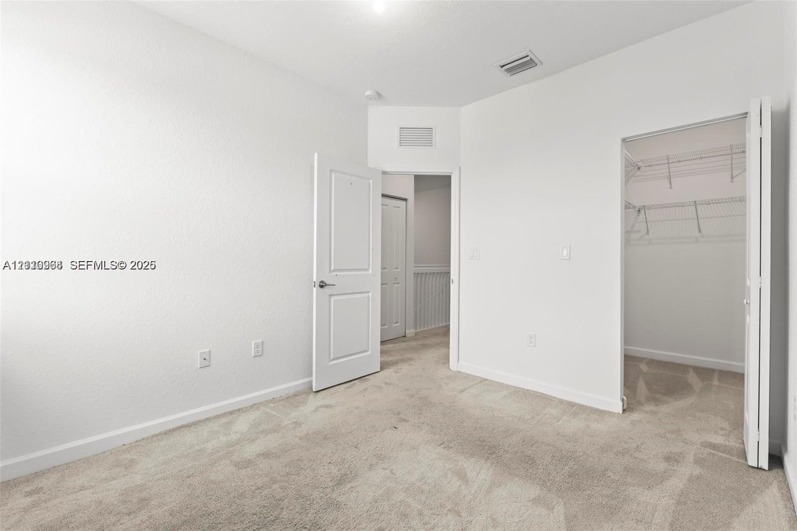 Neutral interior featuring wall-to-wall carpeting, paneled interior doors, and a walk-in closet with integrated wire shelving