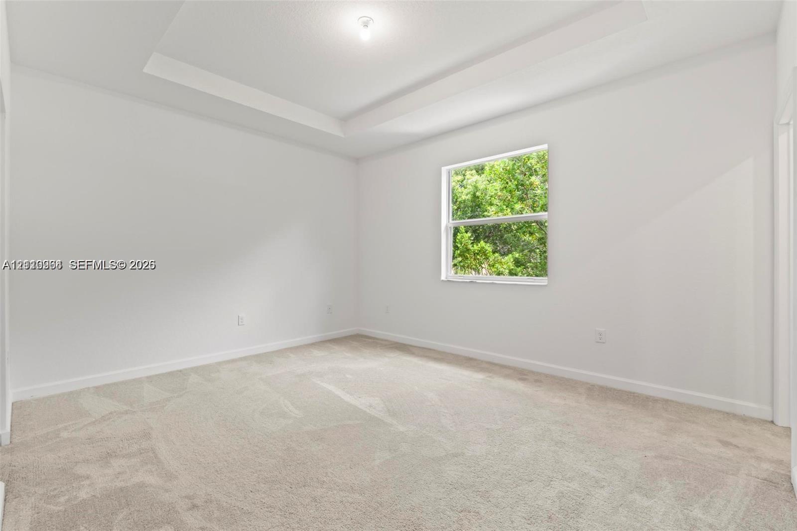 Interior space featuring a recessed tray ceiling, wall-to-wall carpeting, and a single-hung window