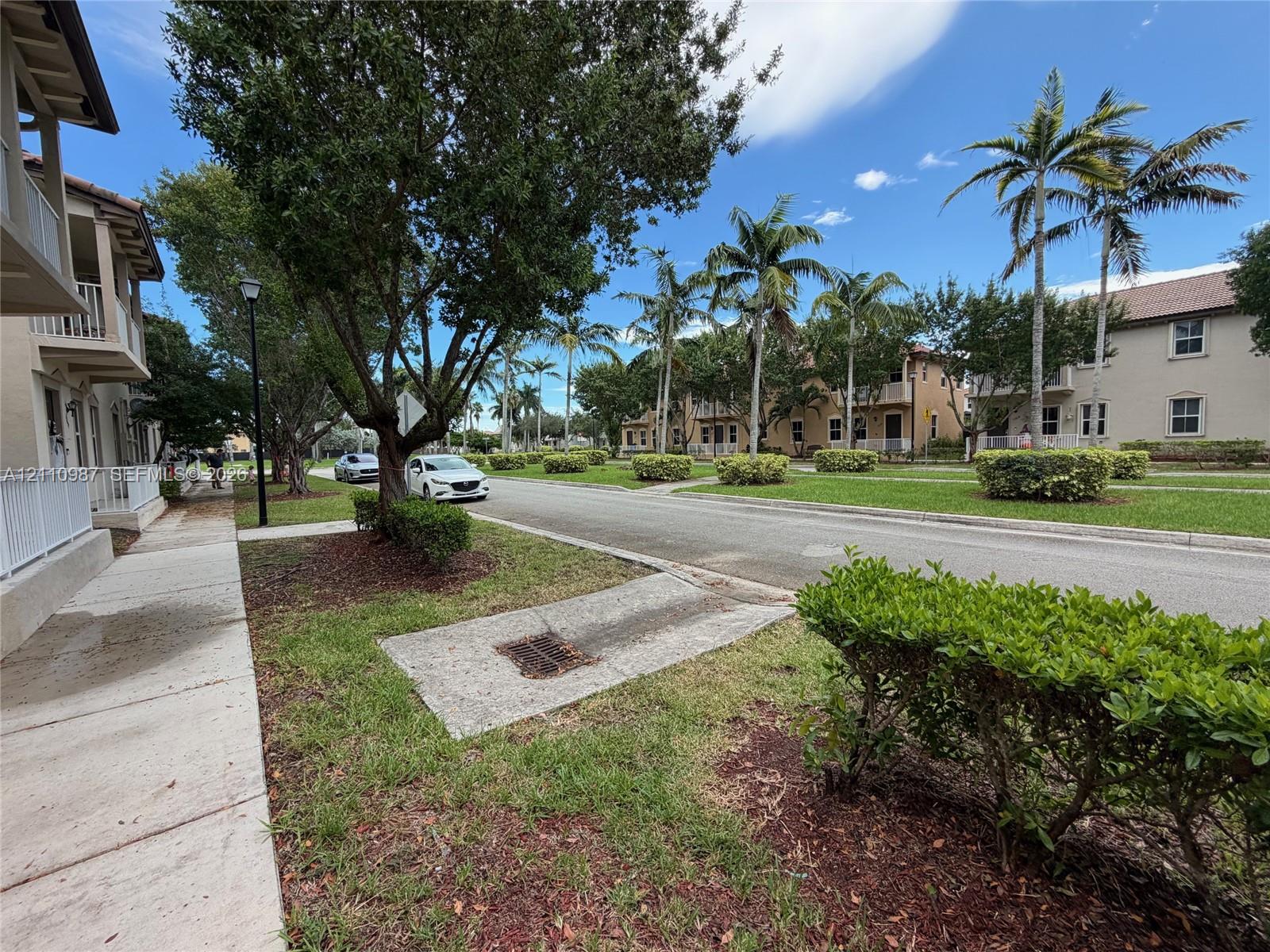 Exterior streetscape featuring paved sidewalks, mature landscaping, manicured lawns, and palm trees
